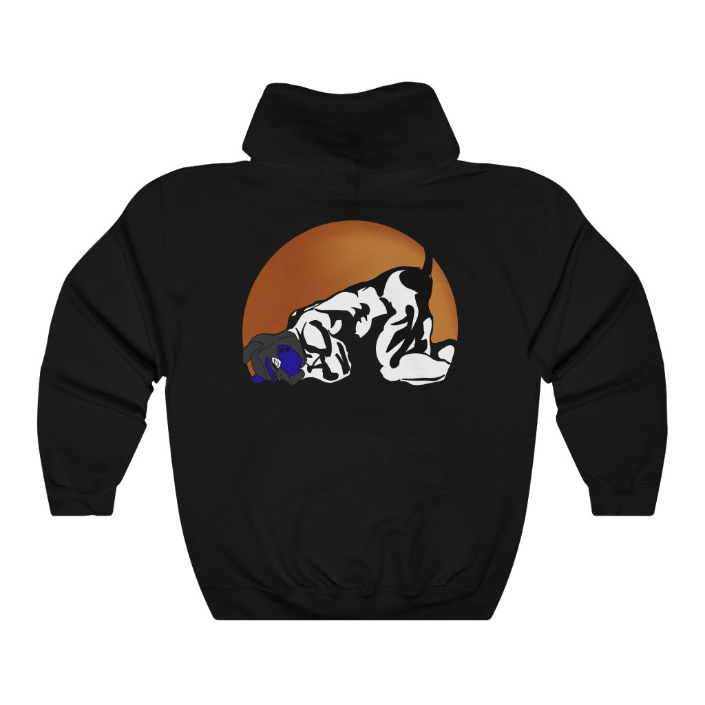 Down Boy Hooded Sweatshirt